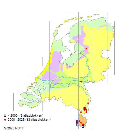 Gestippelde alver Alburnoides bipunctatus Verspreidingskaart NDFF