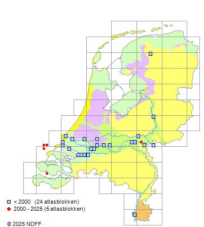 Elft Alosa alosa Verspreidingskaart NDFF