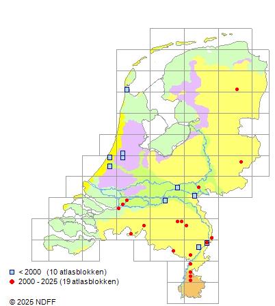 Zwarte dwergmeerval Ameiurus melas Verspreidingskaart NDFF