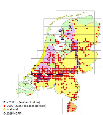 Roofblei Leuciscus aspius Verspreidingskaart NDFF