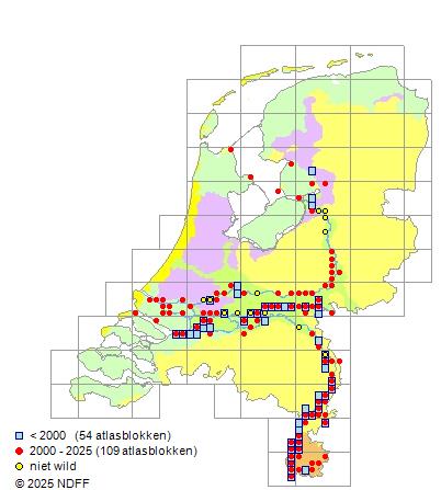 Sneep Chondrostoma nasus Verspreidingskaart NDFF