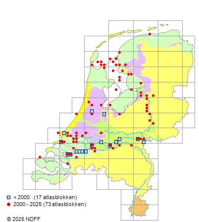 Noordzeehouting Coregonus oxyrinchus Verspreidingskaart NDFF