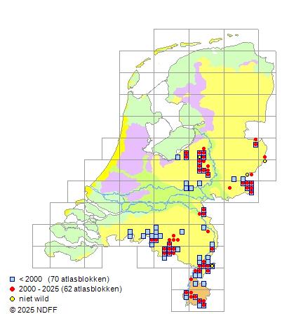 Beekprik Lampetra planeri Verspreidingskaart RAVON