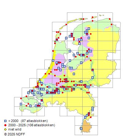 Zeeprik Petromyzon marinus Verspreidingskaart NDFF