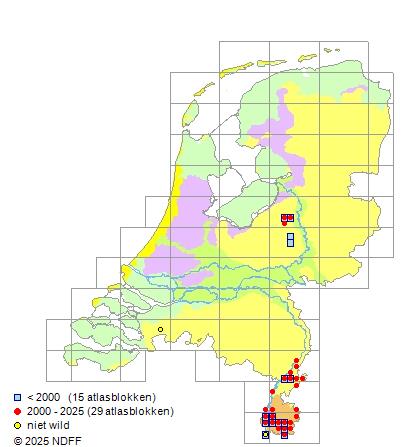 Elrits Phoxinus phoxinus Verspreidingskaart NDFF