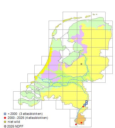 Bronforel Salvelinus fontinalis Verspreidingskaart NDFF