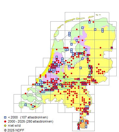 Europese meerval Siluris glanis Verspreidingskaart NDFF