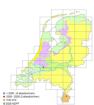 Brasemblei Ballerus ballerus Verspreidingskaart RAVON