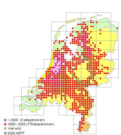 Marmergrondel Proterorhinus semilunaris Verspreidingskaart NDFF