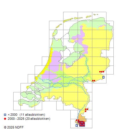 Beekdonderpad Cottus rhenanus Verspreidingskaart RAVON