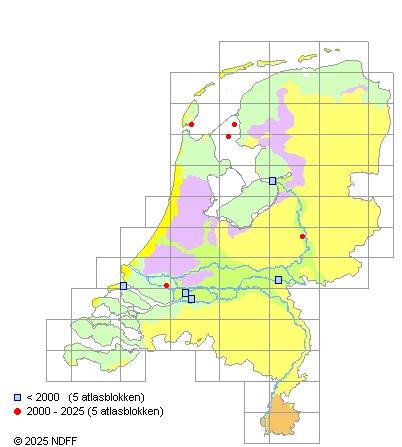 Kleine marene Coregonus albula Verspreidingskaart NDFF